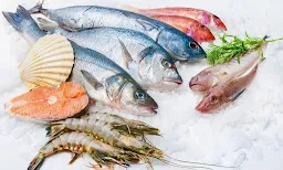 Fish Zone - Logo