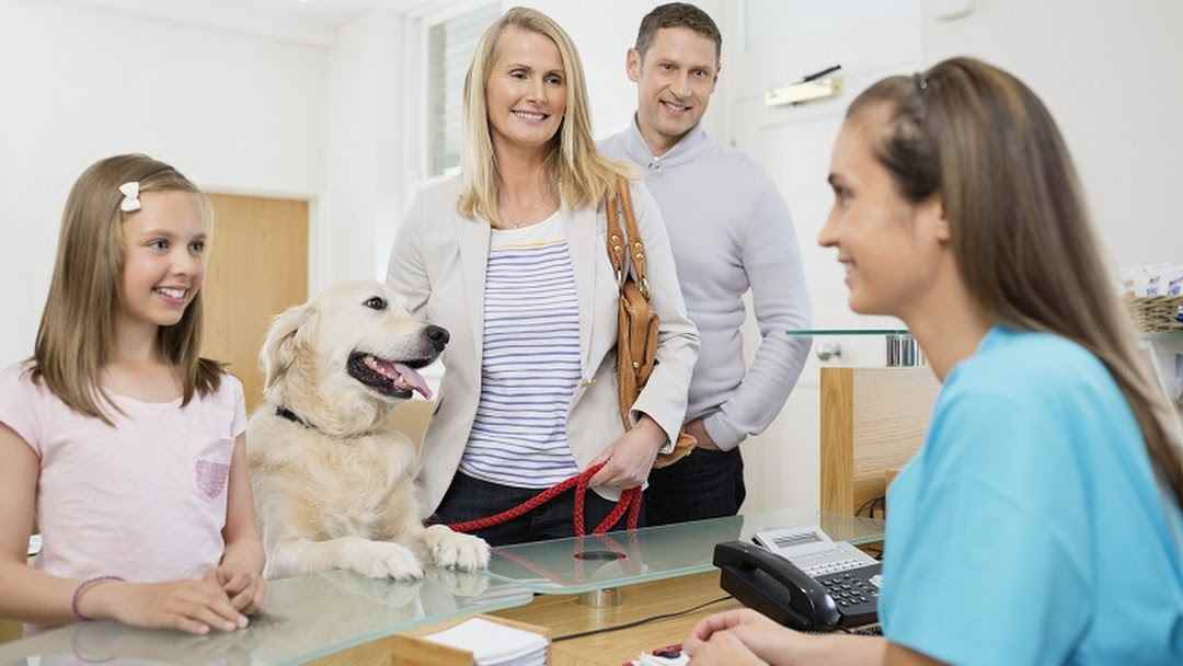 Fitlife Dog Cat Clinic And Pets Shop - Cover photo