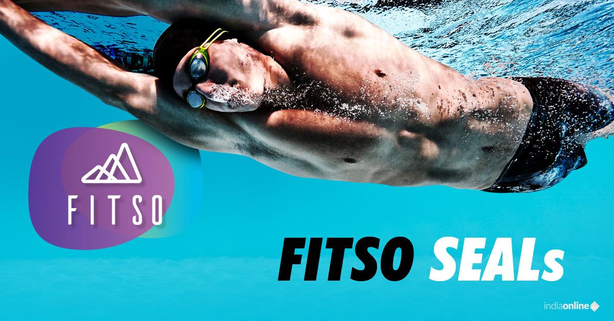 Fitso Seals - Cover photo