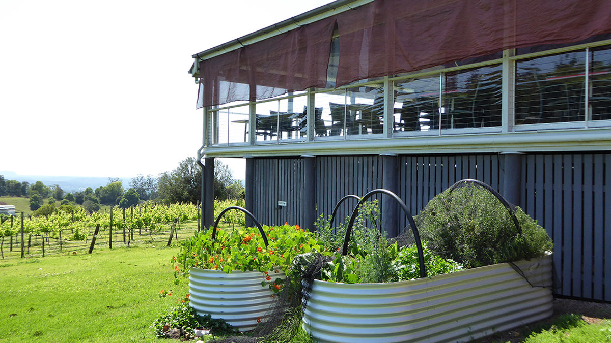 Flame Hill Vineyard - Logo