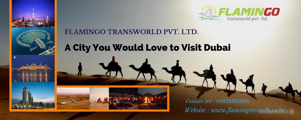 Flamingo Transworld Pvt Ltd - Cover photo