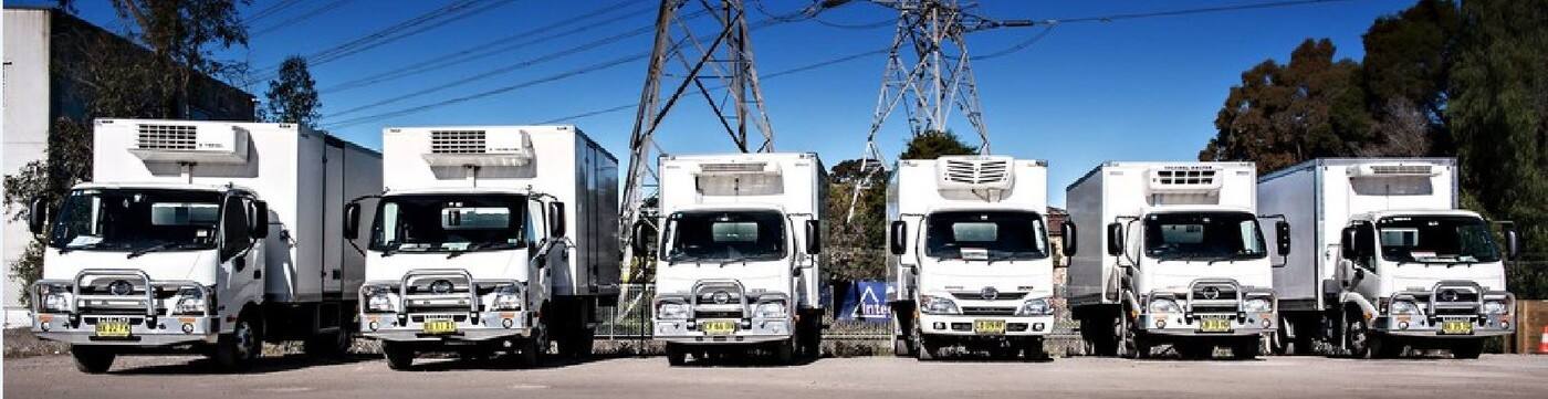 Flash Line Transport - Logo