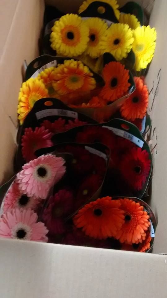 Fleuriste Boutik Flori Enr - Cover photo