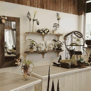 Fleuriste Direct - Cover photo