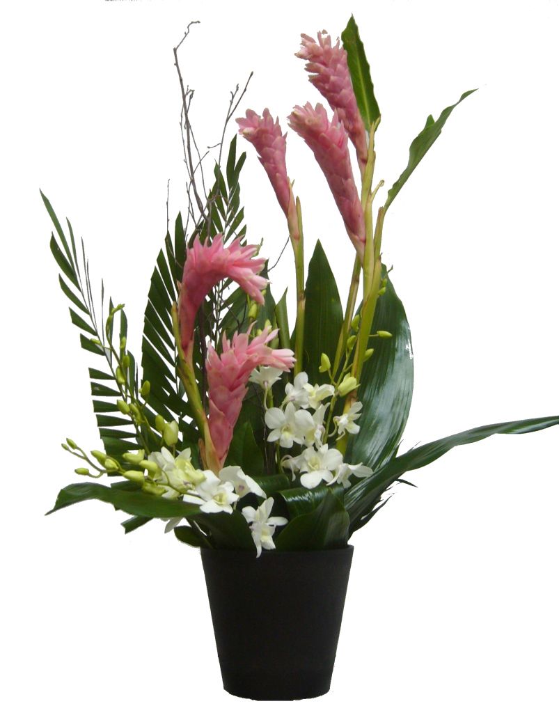 Fleuriste St-Anselme Inc - Logo