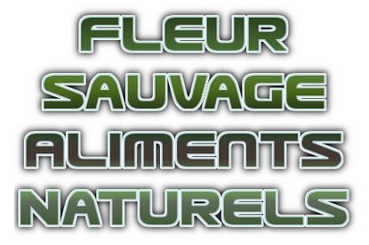 Fleur Sauvage Aliments Naturels - Logo