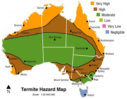 Flexible Termite Solutions - Logo