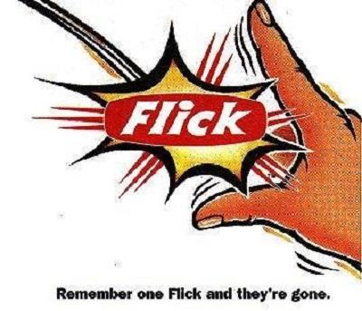 Flick Pest Control Port Macquarie - Logo