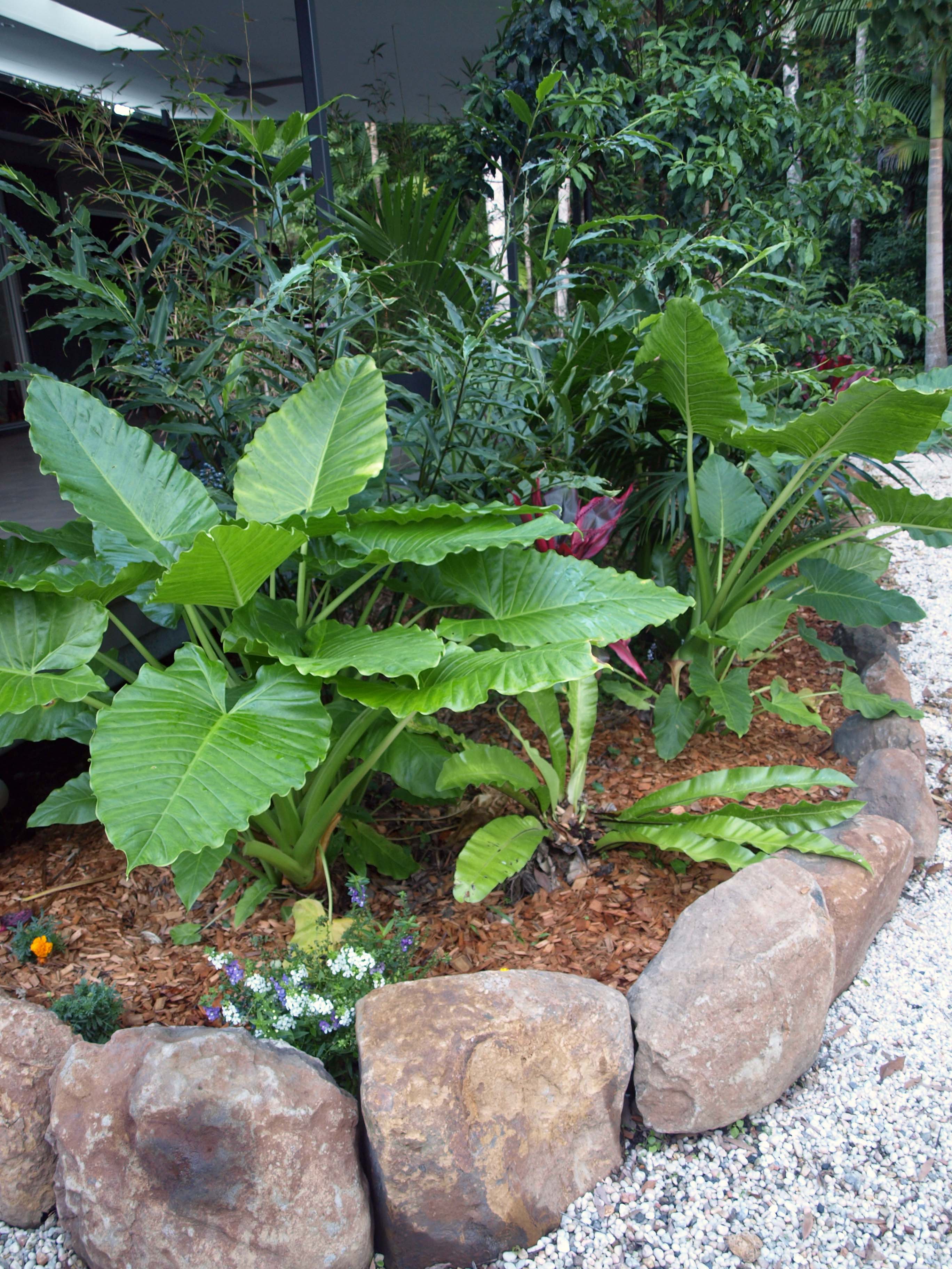 Flo Gardens - Cover photo