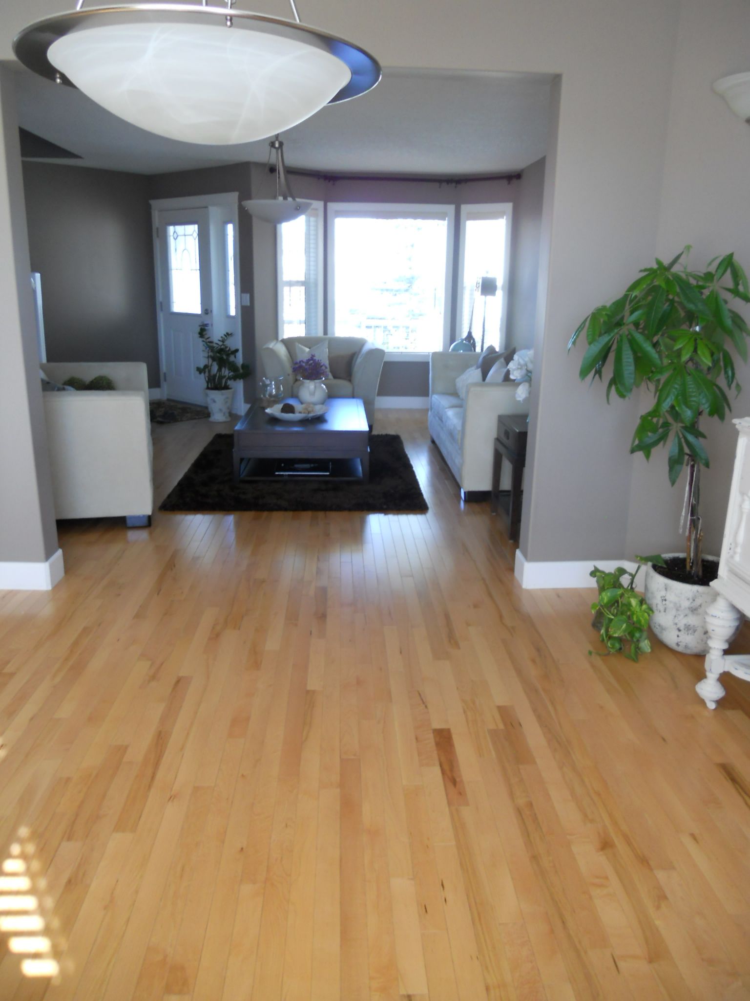 Floor Coverings International - Cover photo