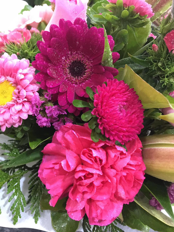 Flower Hunt - Cover photo