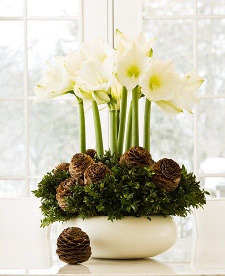 Flower Nook - Logo