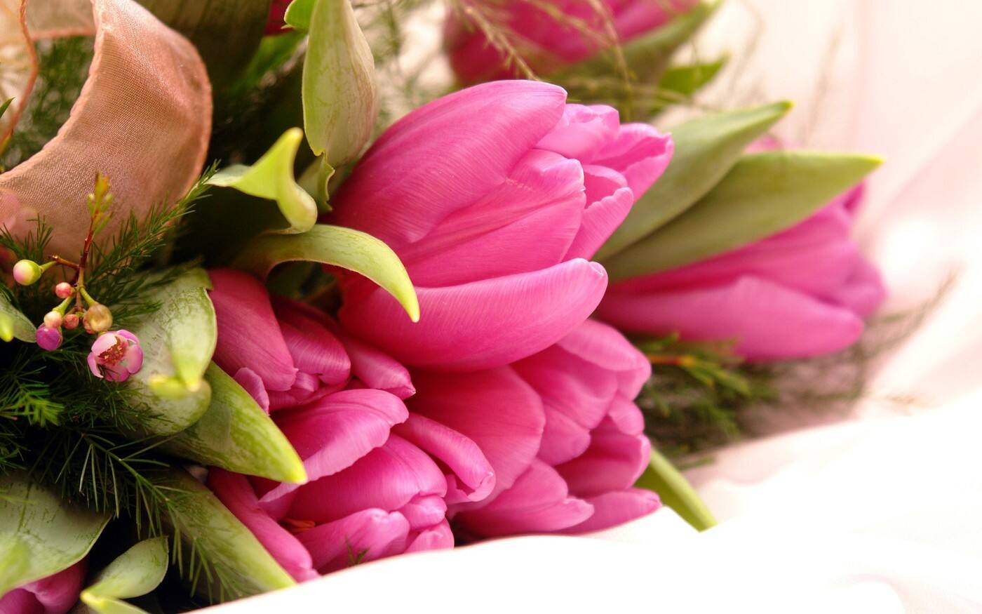 Flowers And Petals - Cover photo