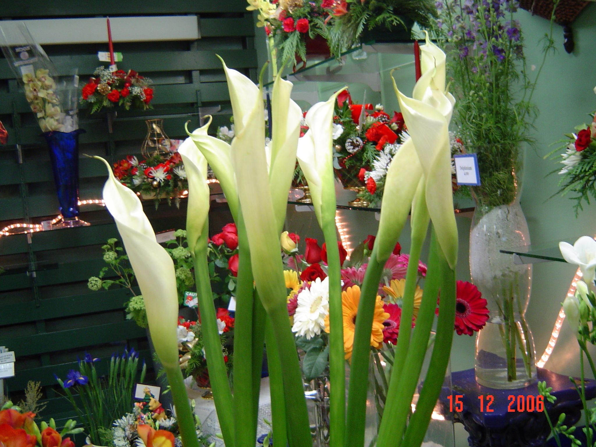 Flowers By La Terre&s;s - Cover photo