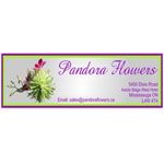 Flowers - Logo