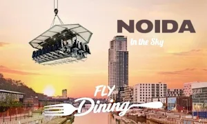 Flydining - Logo