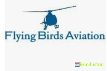 Flying Birds Aviation - FBA - Logo