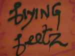 Flying Feetz Academy - Logo