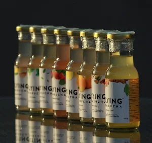 Flying Kombucha - Logo