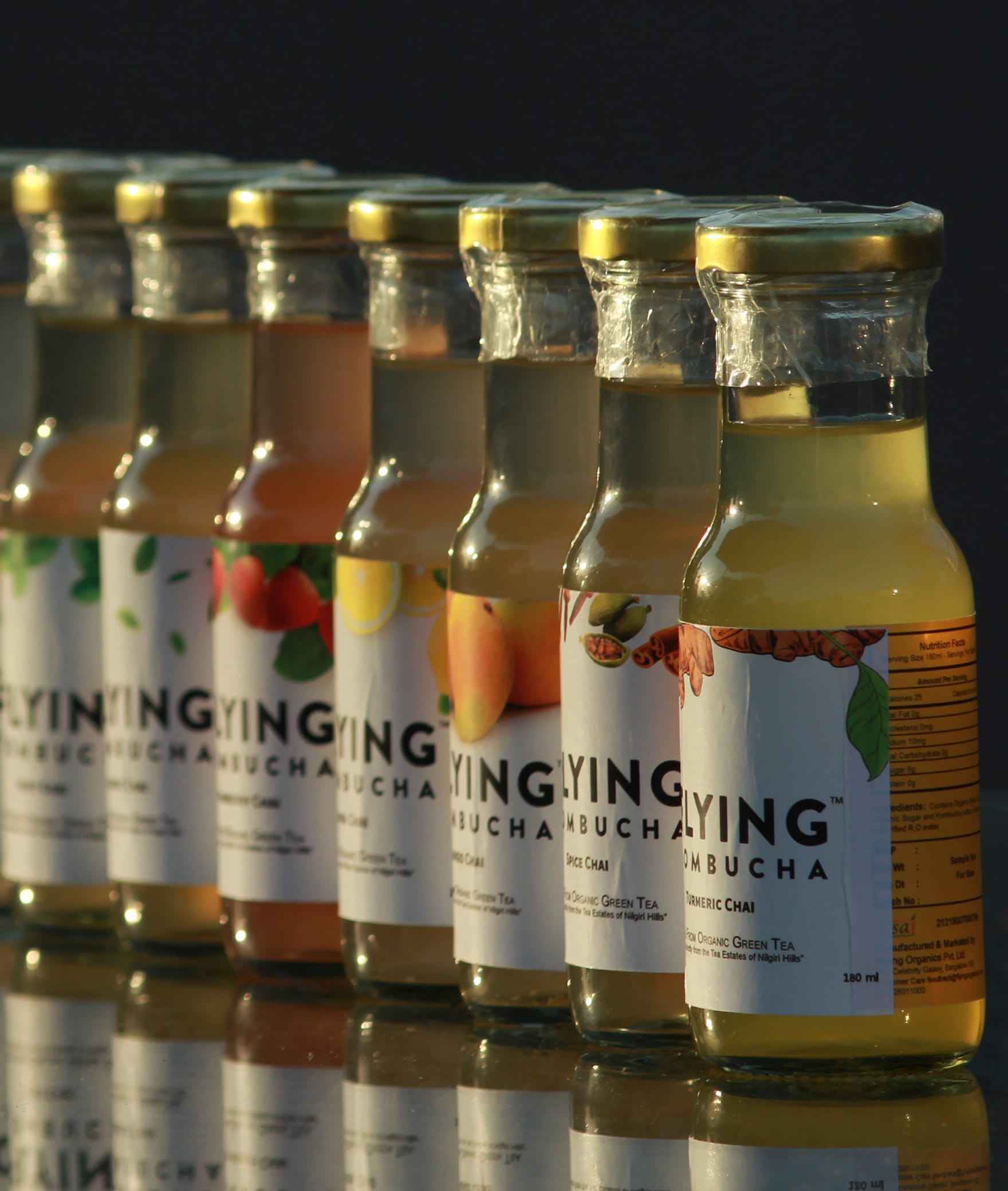 Flying Kombucha - Logo