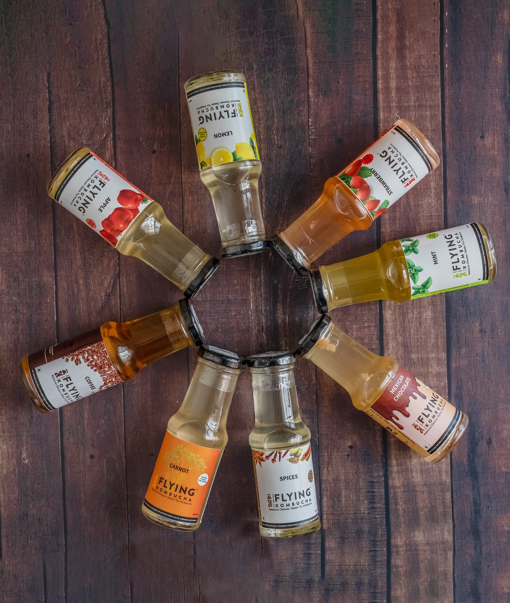 Flying Kombucha - Logo