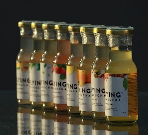 Flyingkombucha - Logo