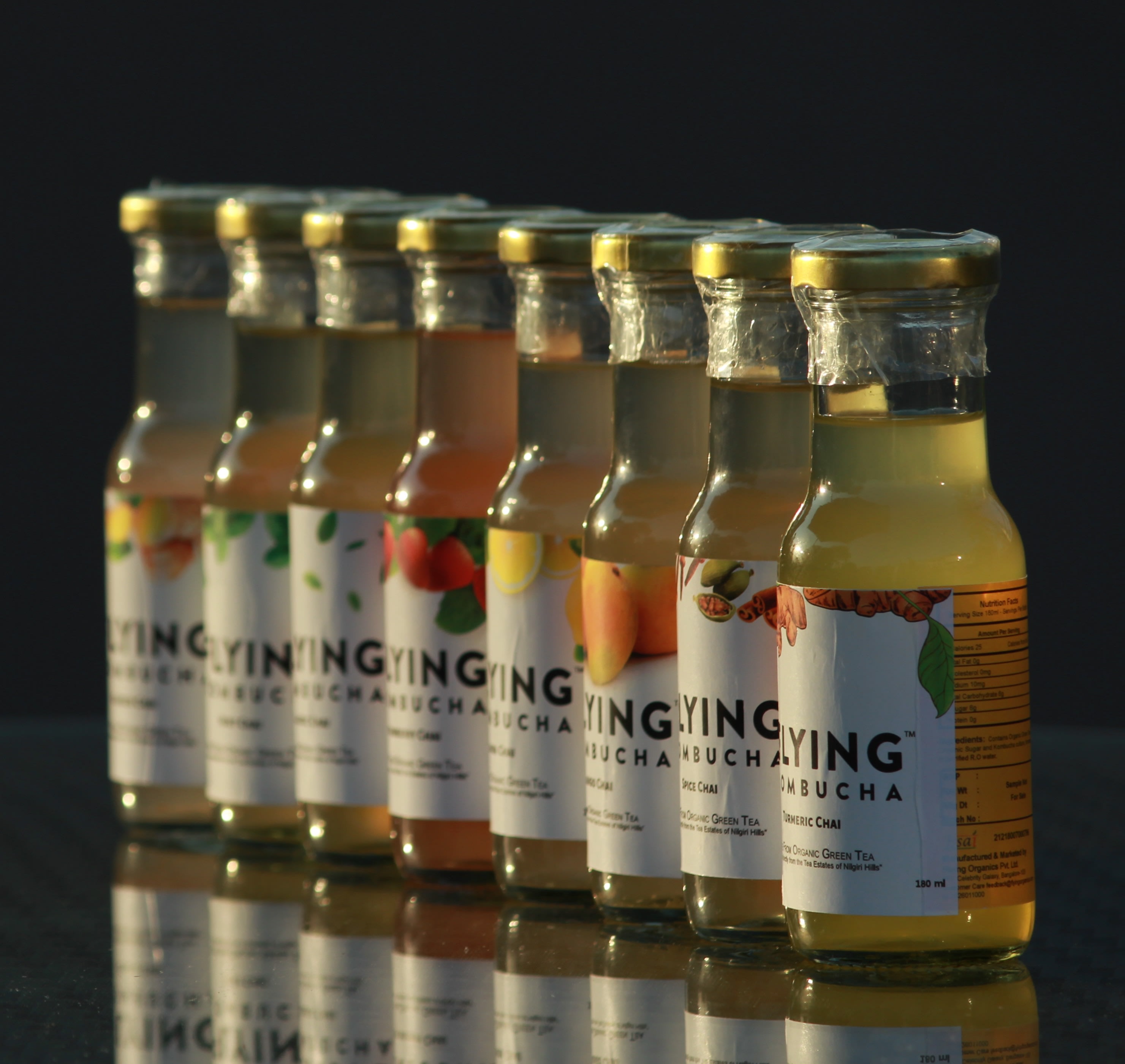Flying Kombucha - Logo