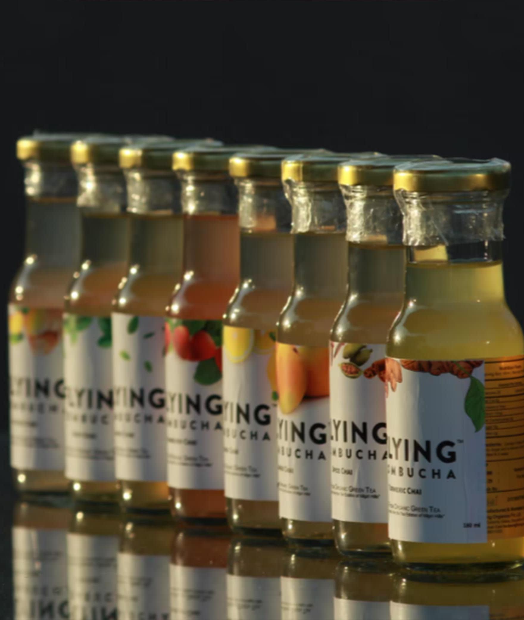 Flying Kombucha - Logo