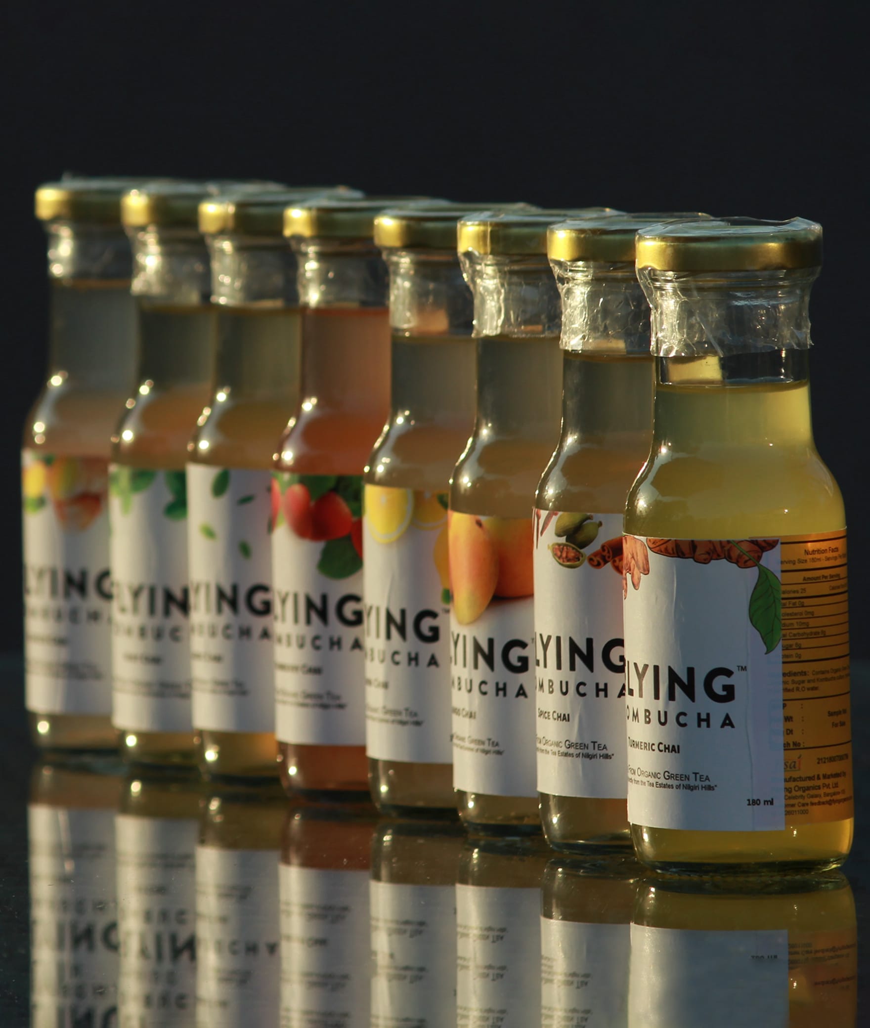 Flying Kombucha - Logo