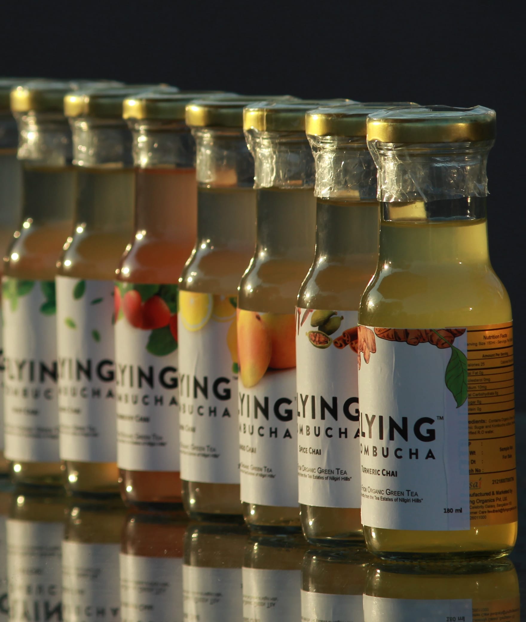 Flying Kombucha - Logo