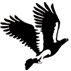 FMS Delhi - Logo