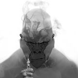 foggy gorilla vaping - Logo