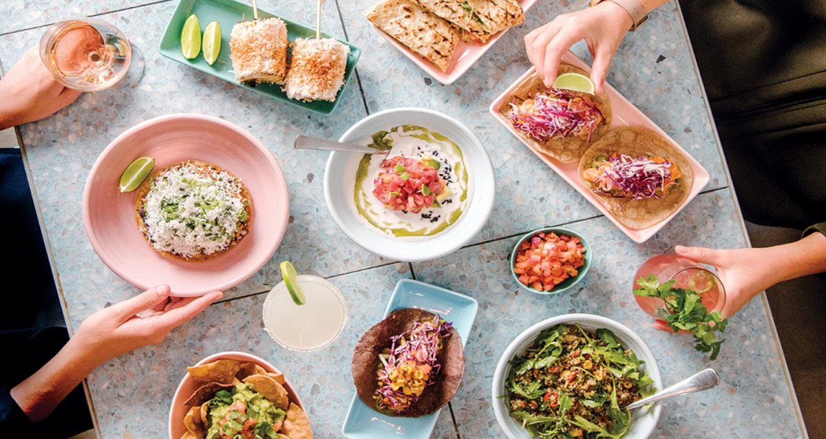 Fonda Mexican Bondi - Logo