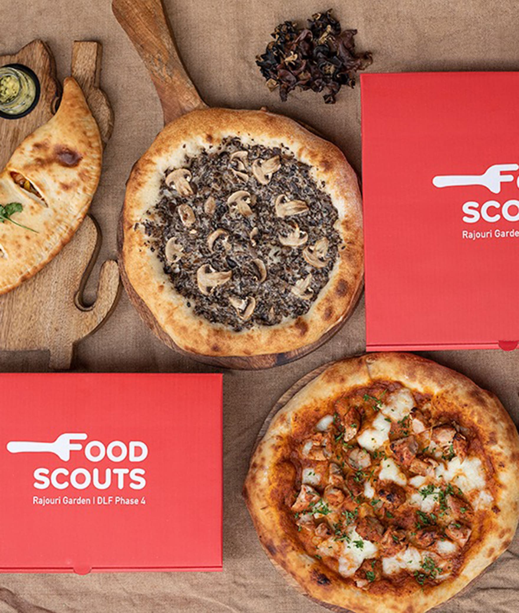Food Scouts - Logo