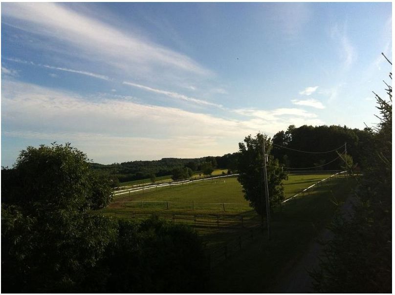 Forelock Stables - Cover photo