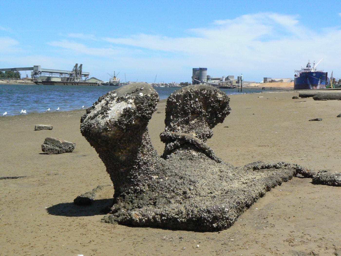 Foreshore Fencing - Cover photo