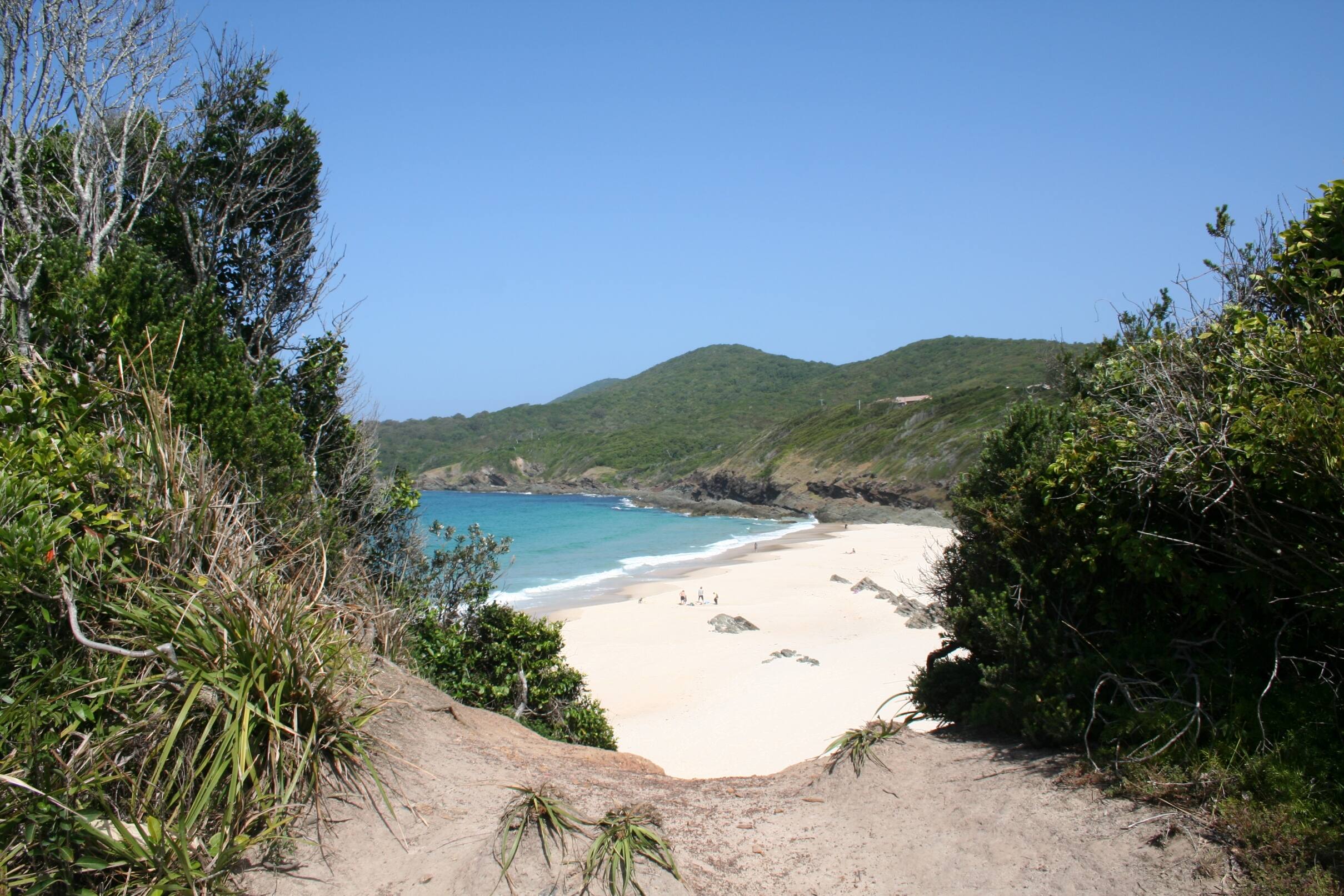 @ Forster - Cover photo