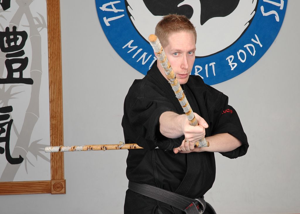 Four Dragons Martial Arts - Logo