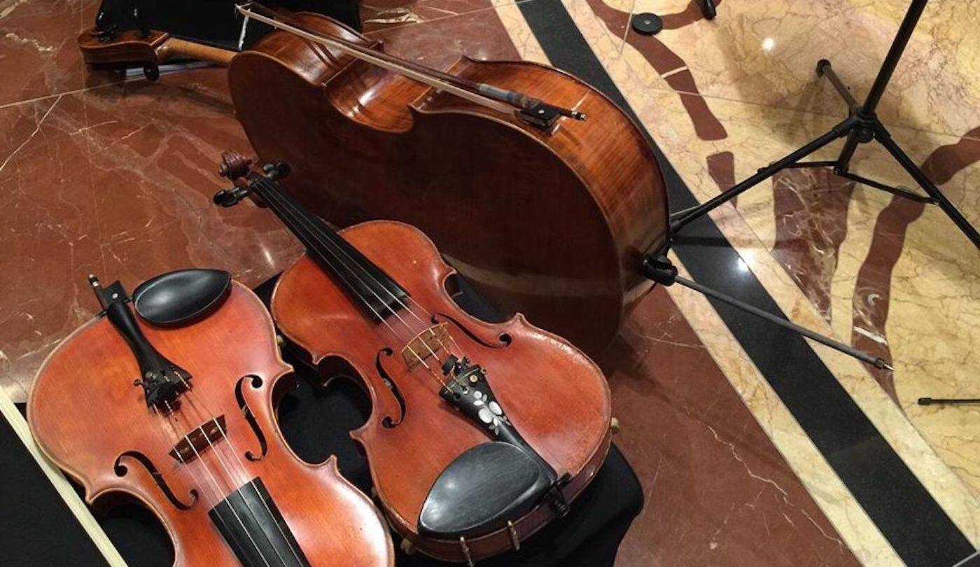 Four Seasons String Quartet - Logo