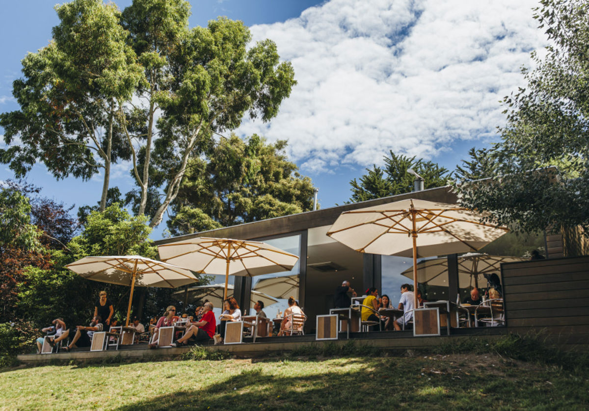 Foxeys Hangout at Morning Sun Vineyard - Logo