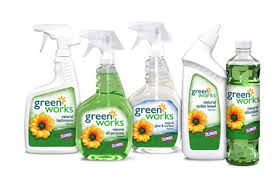 FOXX Cleaning Services - Logo