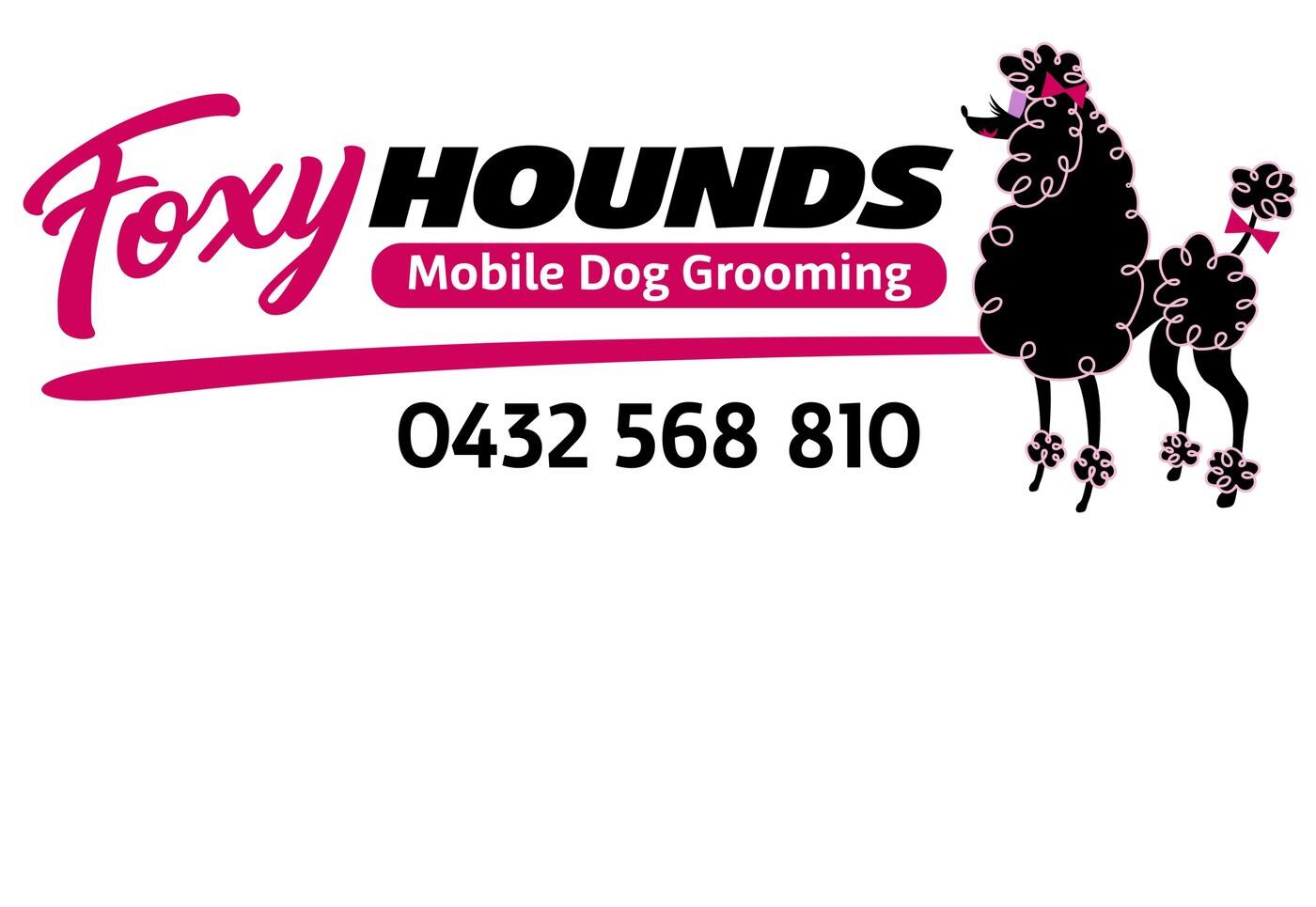 Foxy Hounds - Cover photo