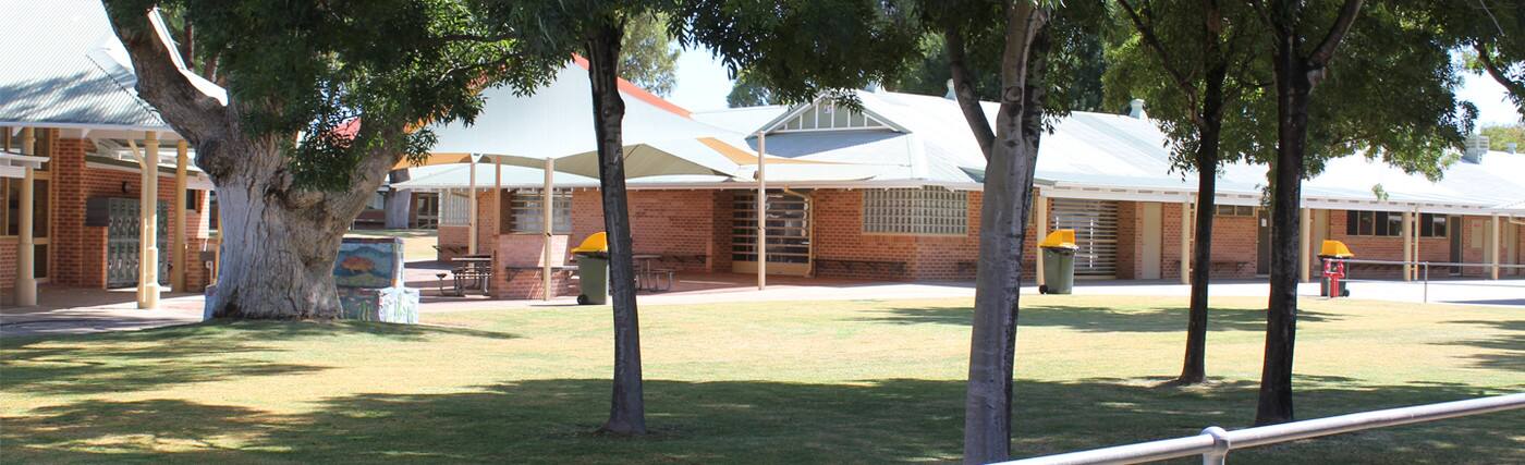Frederick Irwin Anglican School - Logo