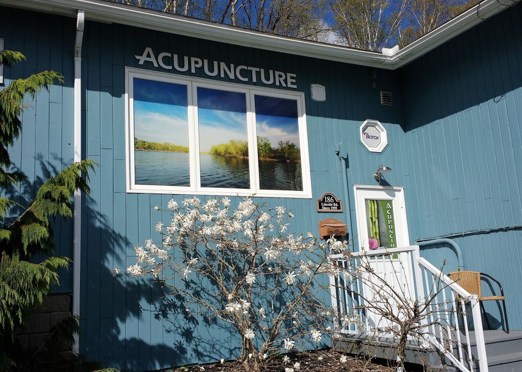 Fredericton Wellness Clinic - Logo