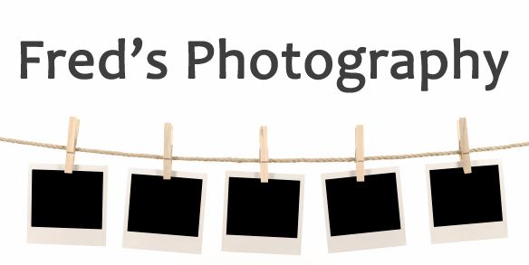 Fred&s;s Photography - Logo