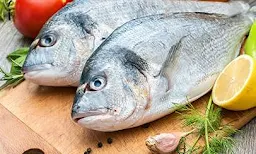 Fresh Catch - Logo
