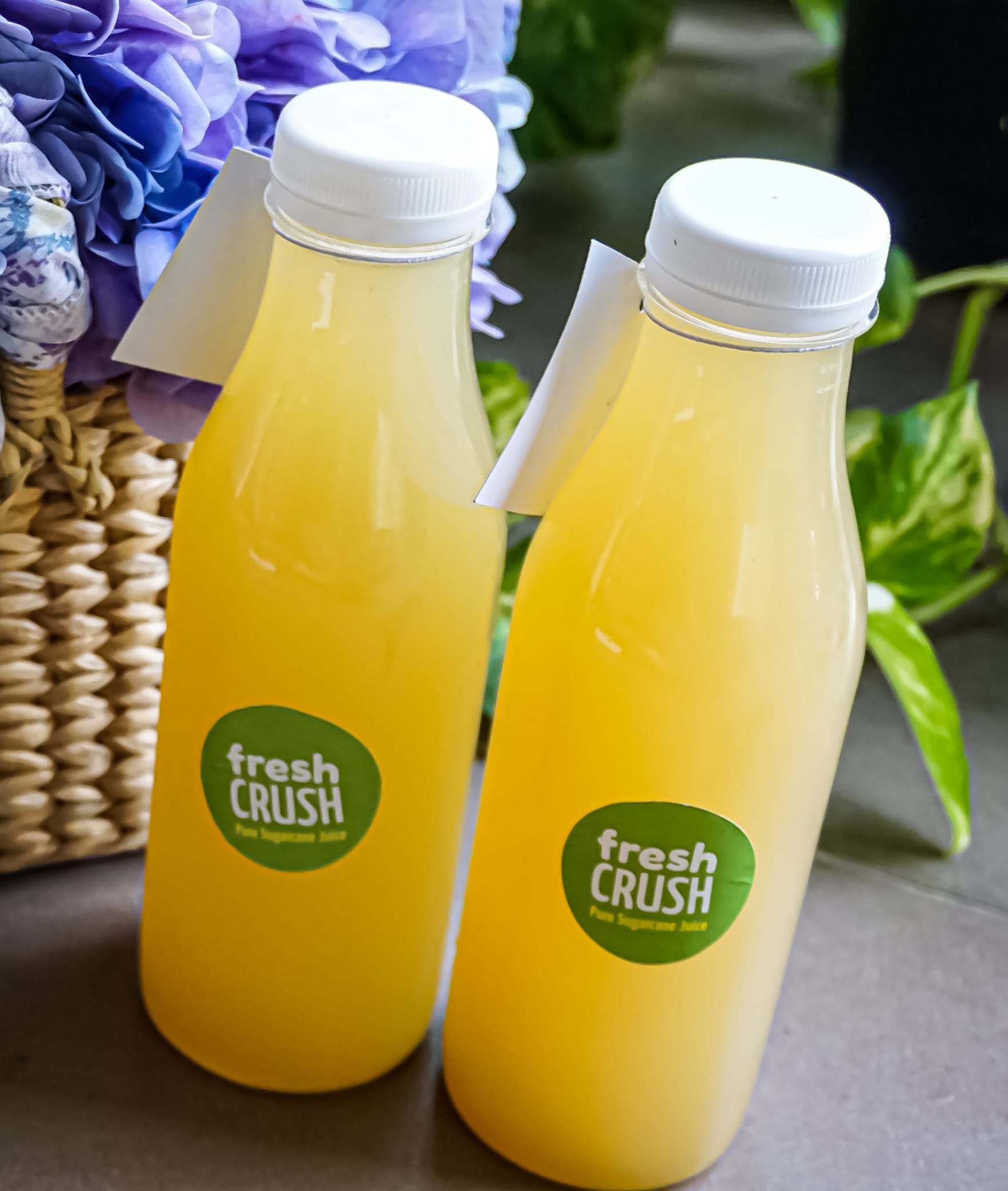 FRESH CRUSH - Logo