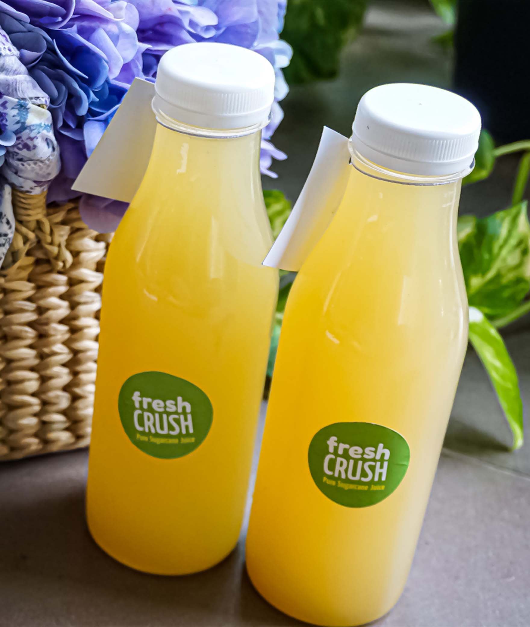 Fresh Crush - Logo