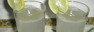 Fresh Lemon Soda - Logo