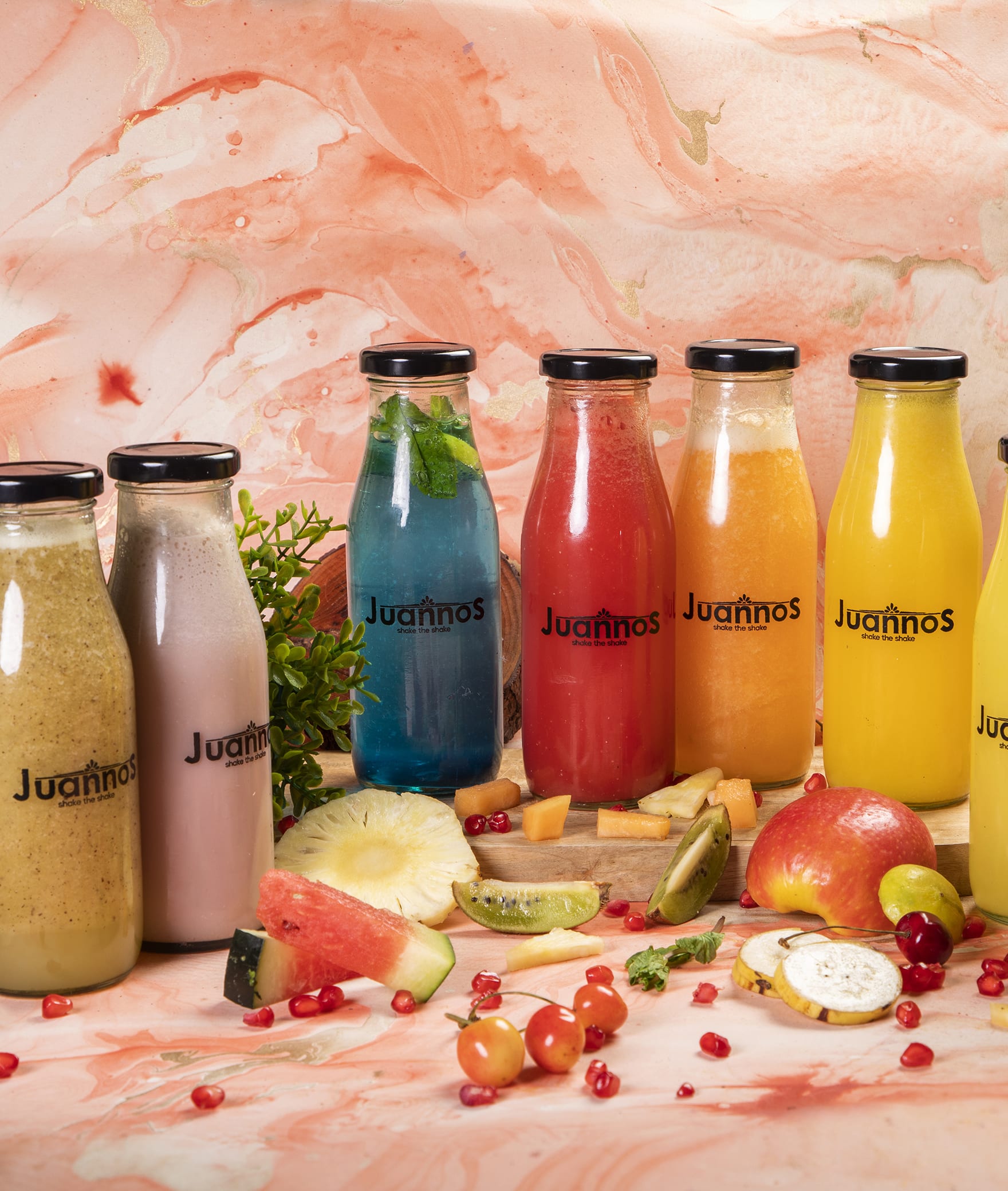 Freshness - Fruits and juices - Logo